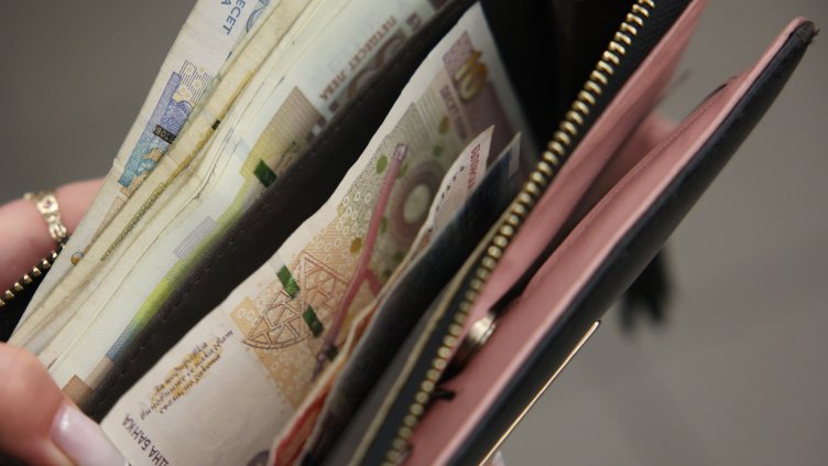 Снимка: архив, БГНЕС