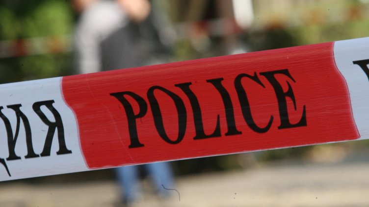 Снимка: архив, БГНЕС