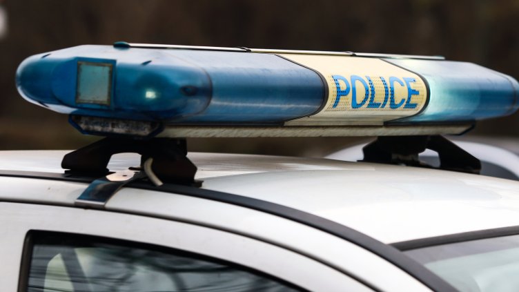 Снимка: архив, БГНЕС