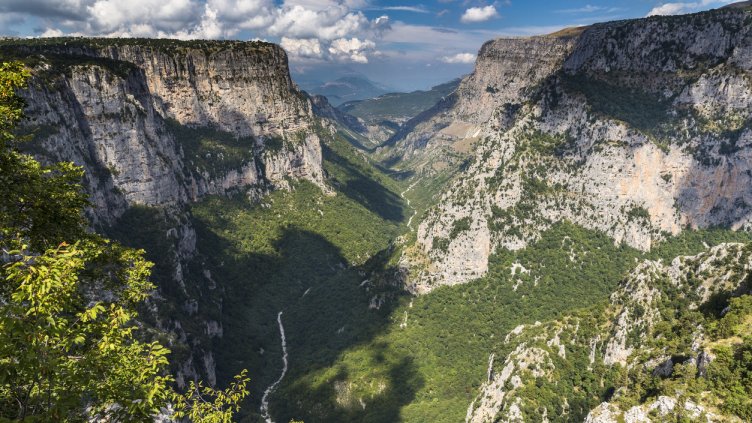 Снимка: IstockPhoto