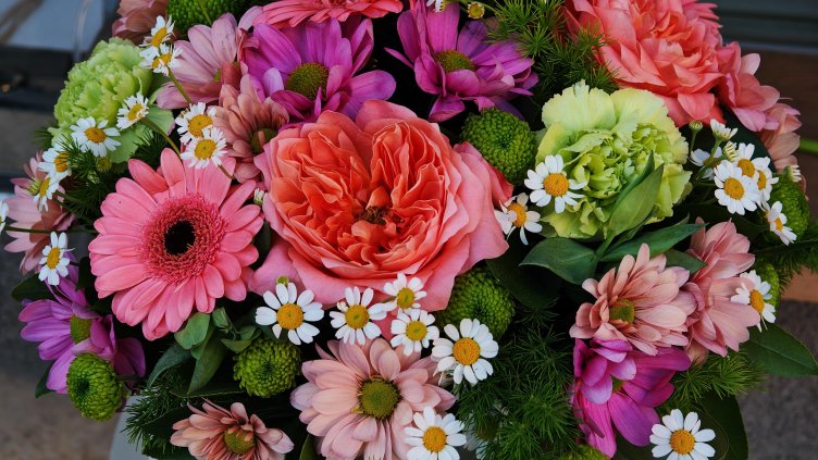 Снимка: архив, БГНЕС