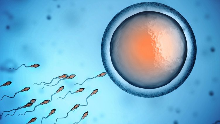 Снимка: istock