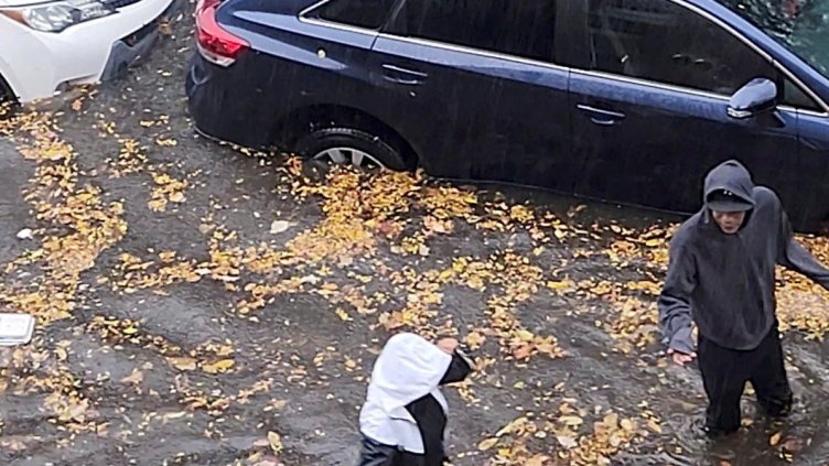 Снимка: архив, БГНЕС