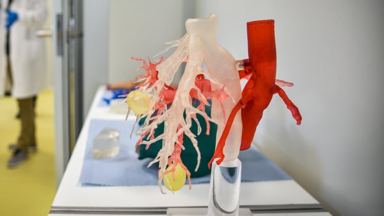 Снимка: архив, БГНЕС