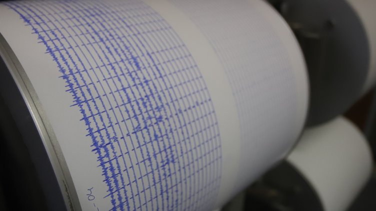 Снимка: архив, БГНЕС