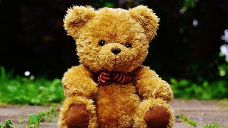 Снимка: Pixabay