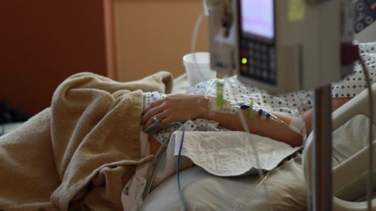 Снимка: Pixabay