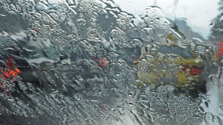 Снимка: Булфото