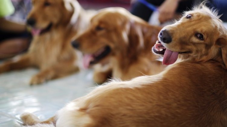 Снимка: Reuters