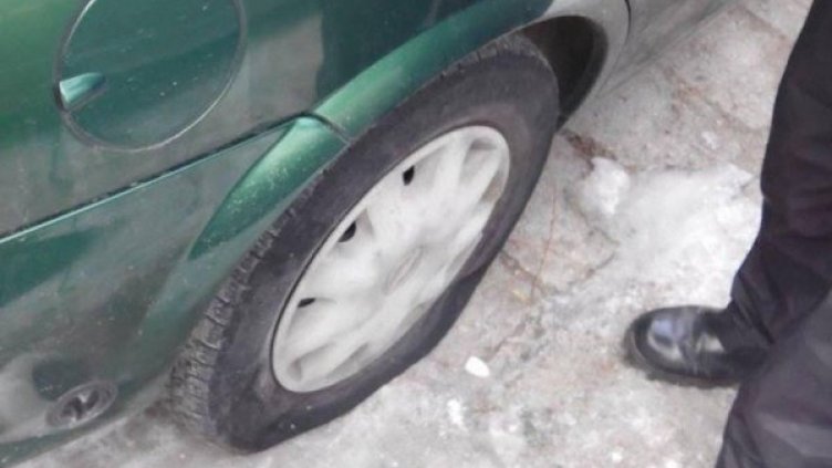 Снимка: Булфото