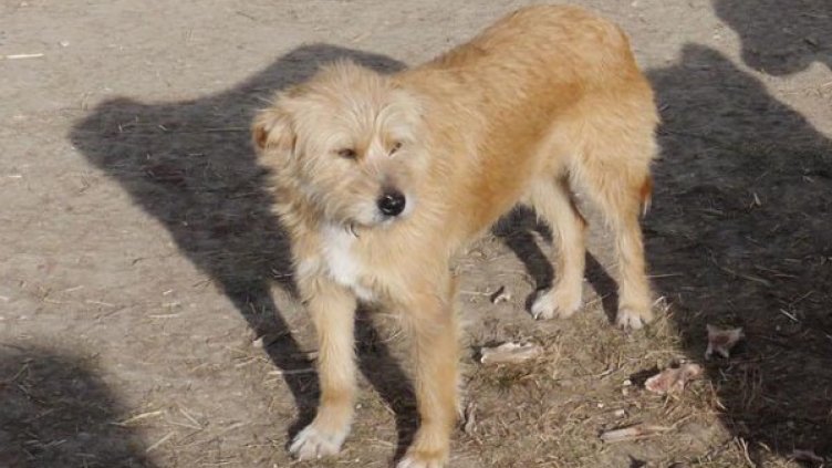 Снимка: Булфото, архив