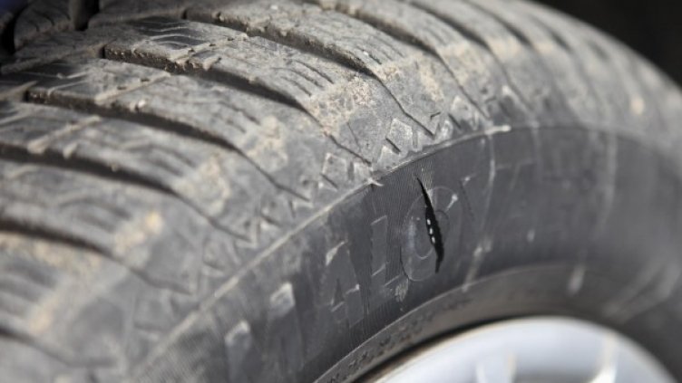 Снимка: архив "Булфото"