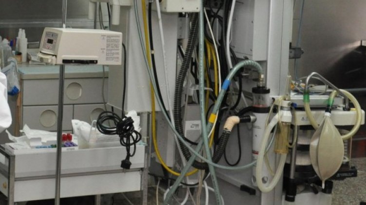 Снимка: архив, БулФото