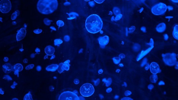 Снимка: архив, Reuters