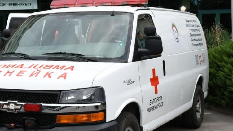 Архив: Булфото