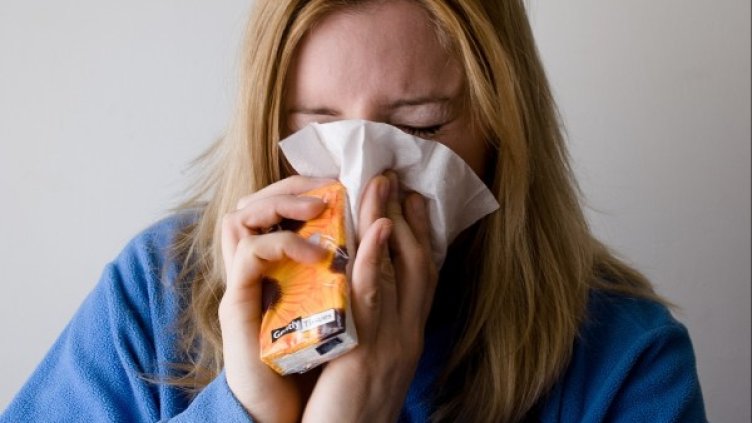 Снимка: Pixabay