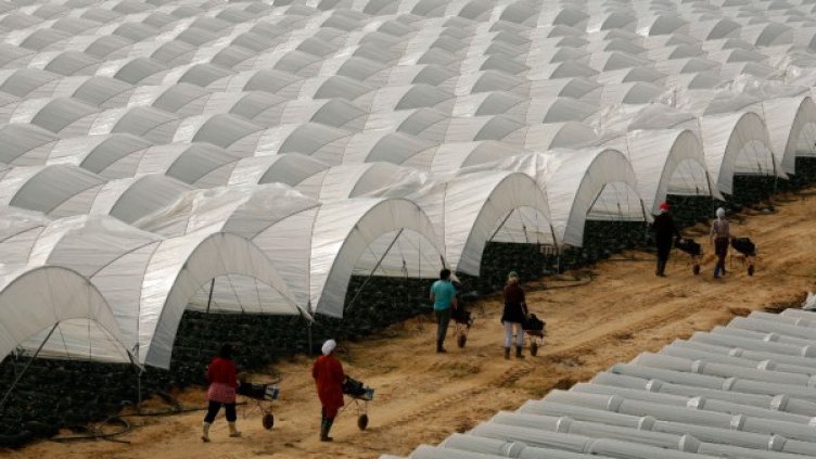 Снимка: архив, Reuters