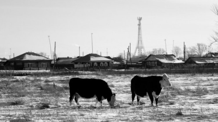 Снимки: Заповедник, Сергей Потеряев