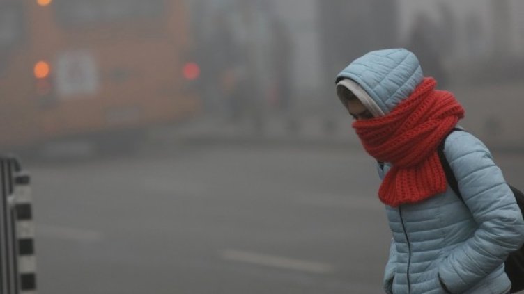 Снимка: Димитър Кьосемарлиев, Dnes.bg