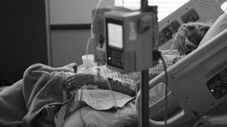 Снимка: pixabay