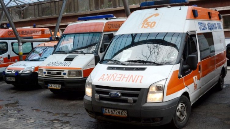 Снимка: архив "Булфото"