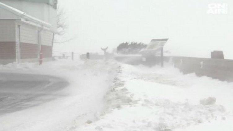 Кадър: Bulgaria ON AIR