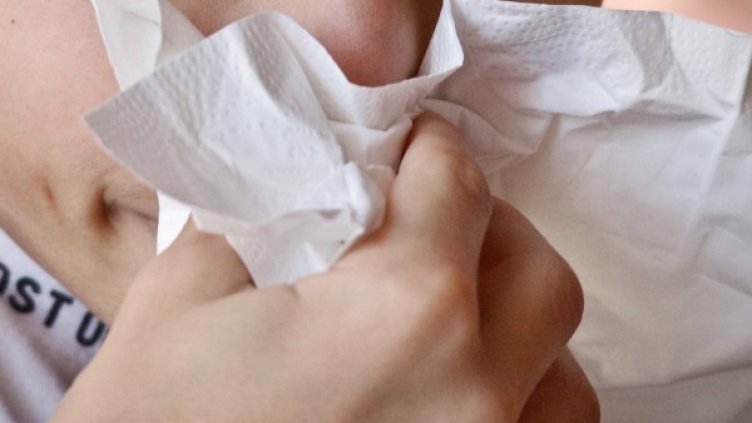 Снимка: Pixabay