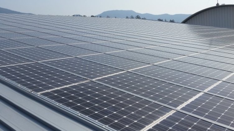 снимка: Pixabay