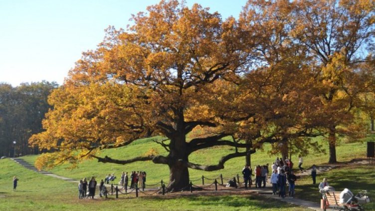 Снимка: Сдружение "Партньорство за околна среда