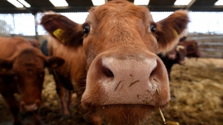 Снимка: Reuters