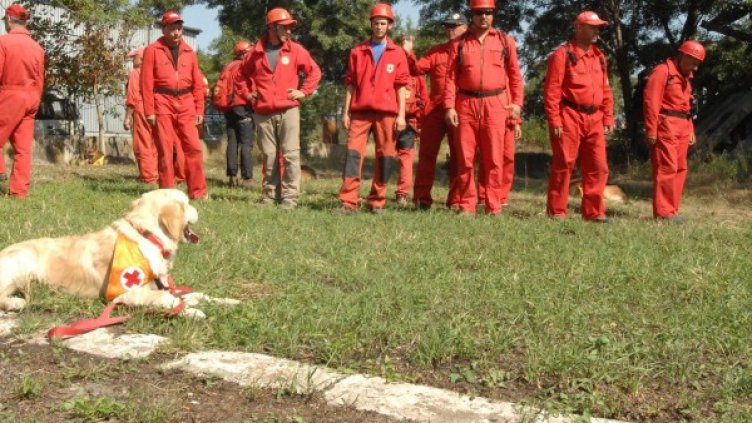 Снимка: Булфото, архив