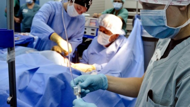 Снимка: Pixabay