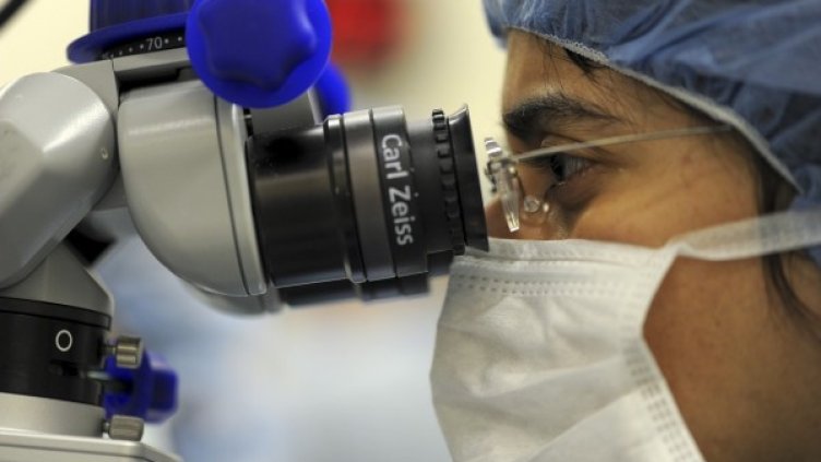 Снимка: Pixabay