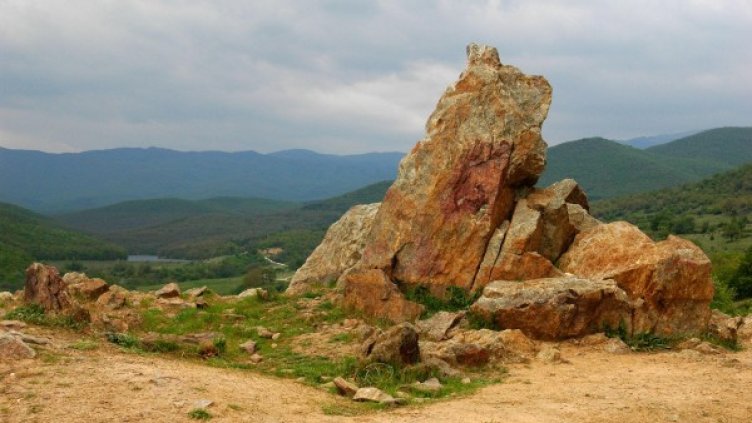 Снимка: архив "Булфото"