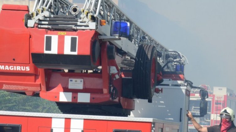 Снимка: архив, Булфото