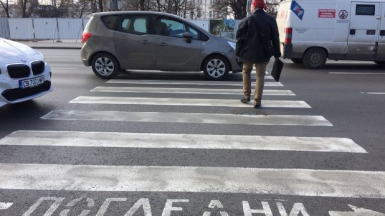 Снимка: Димитър Кьосемарлиев, Dnes.bg