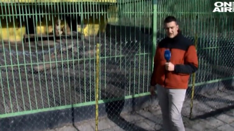 Снимка: Bulgaria ON AIR