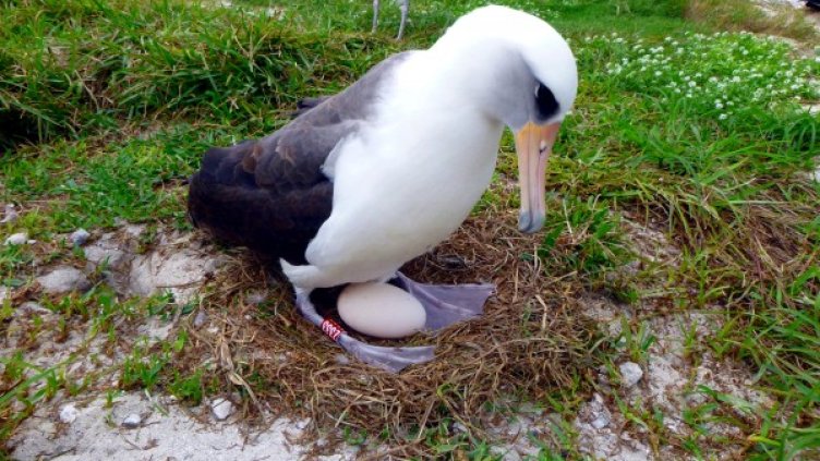 Снимка: Reuters