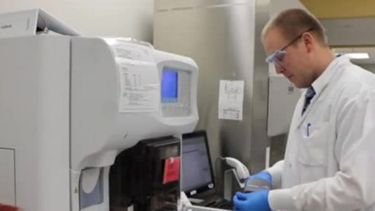 Снимка: Bulgaria ON AIR