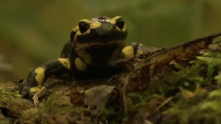 Снимка: Bulgaria ON AIR