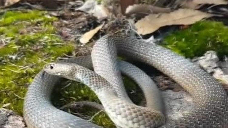 Снимка: Bulgaria ON AIR