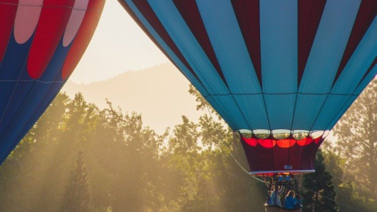 Снимка: Pexels