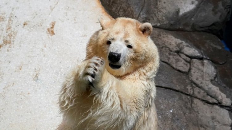 Снимки: Reuters