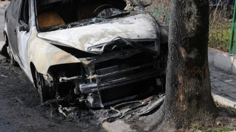 Снимка: архив "Булфото"