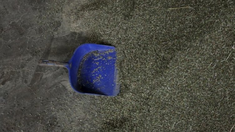 Снимка: архив, Reuters