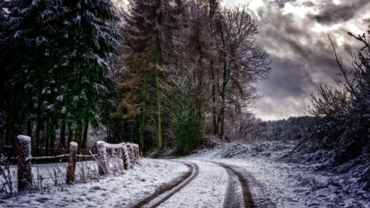 Снимка: Pixabay