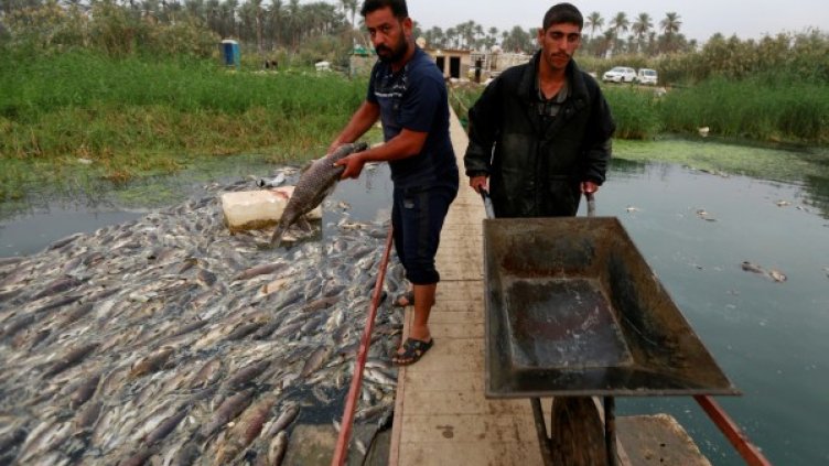 Снимка: Reuters