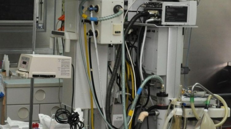 Снимка: архив, БулФото