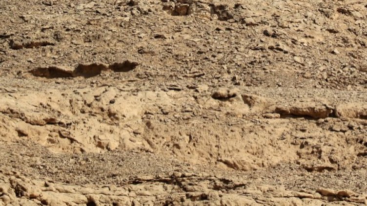 Снимка: архив, Reuters