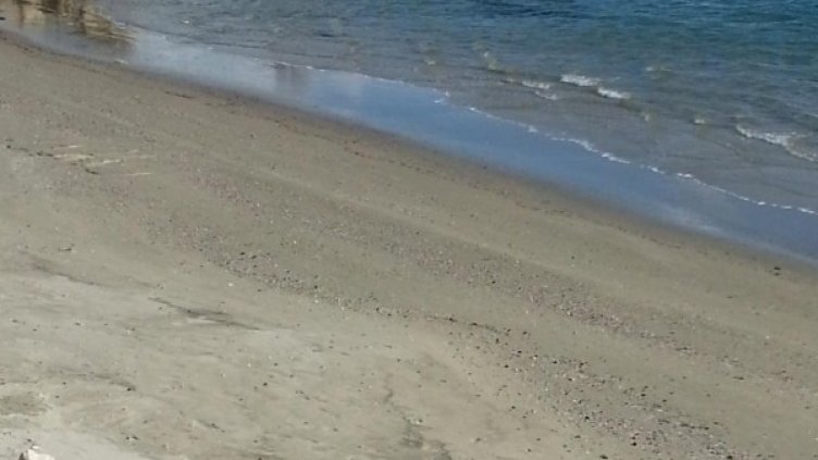 Снимка: Булфото, архив